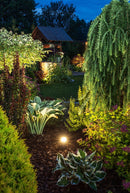 Landscape Up Lighting