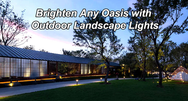 Brighten Any Oasis with Outdoor Landscape Lights