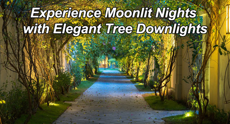 Experience Moonlit Nights with Elegant Tree Downlights