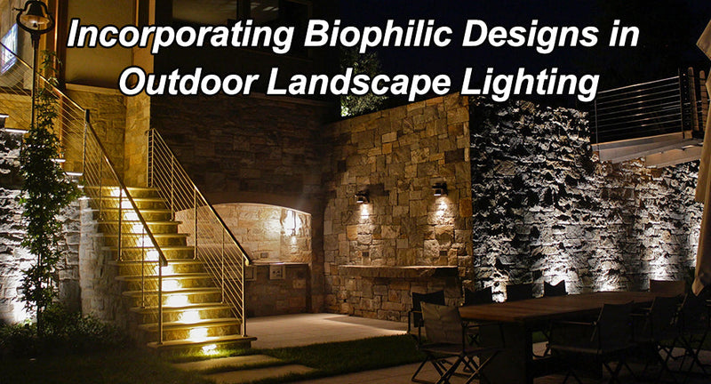 Incorporating Biophilic Designs in Outdoor Landscape Lighting