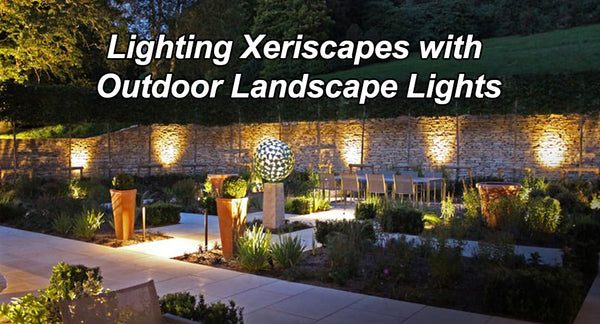 Lighting Xeriscapes with Outdoor Landscape Lights