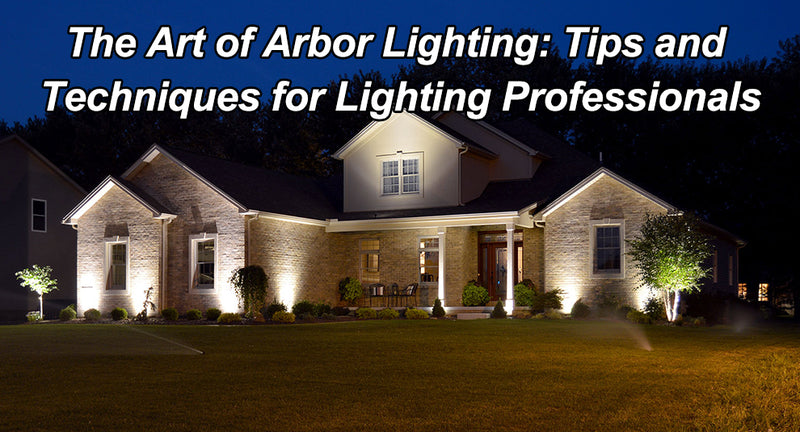 The Art of Arbor Lighting: Tips and Techniques for Lighting Professionals