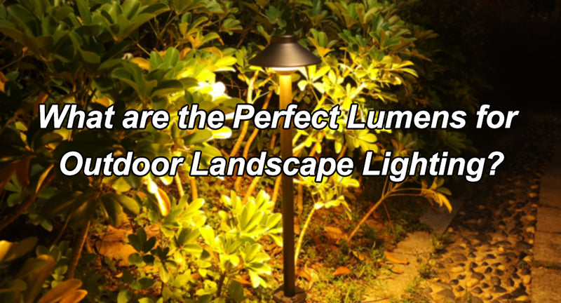 What are the Perfect Lumens for Outdoor Landscape Lighting?